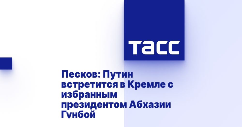 Песков: Путин встретится в Кремле с избранным президентом Абхазии Гунбой