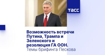 Возможность встречи Путина, Трампа и Зеленского и резолюция ГА ООН. Темы брифинга Пескова