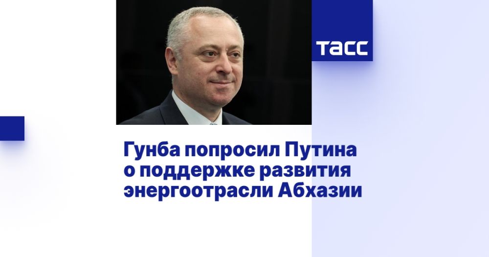 Гунба попросил Путина о поддержке развития энергоотрасли Абхазии