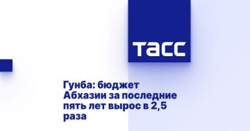 Гунба: бюджет Абхазии за последние пять лет вырос в 2,5 раза