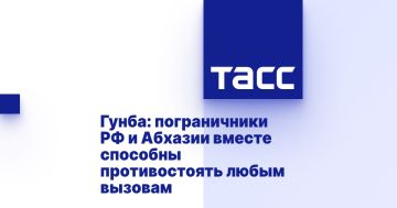 Гунба: пограничники РФ и Абхазии вместе способны противостоять любым вызовам