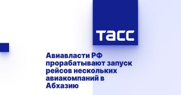 Авиавласти РФ прорабатывают запуск рейсов нескольких авиакомпаний в Абхазию