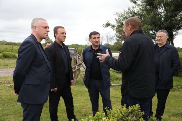 Бадра Гунба: поддержка отечественного производителя - приоритет для государства