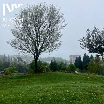 В понедельник, 5 мая, ожидается облачная погода с прояснениями, утром дождь разной интенсивности и продолжительности, гроза, туман