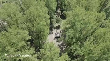 Масштабная акция "Спасибо за память" прошла в Абхазии ко Дню Победы