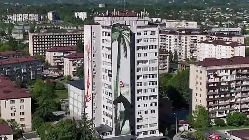 Художникам осталось закончить два из десяти муралов на фасадах зданий в Сухуме, фестиваль "Новые формы" близится к завершению, рассказала Sputnik одна из организаторов Кристина Козлова