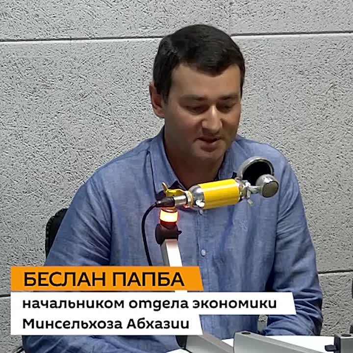 Около 30% пчелосемей погибло в Абхазии с 2023 года из-за вредителя, рассказал в эфире радио Sputnik начальник отдела экономики Минсельхоза Беслан Папба