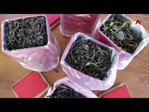 АЦХЫРААРА ИАИРГЫИТ - ИАГЬЫНАИГЕИТ