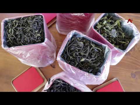 АЦХЫРААРА ИАИРГЫИТ - ИАГЬЫНАИГЕИТ