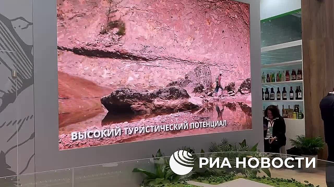 На Кавказском инвестфоруме, что проходит в Минеральных Водах, заработал стенд Абхазии