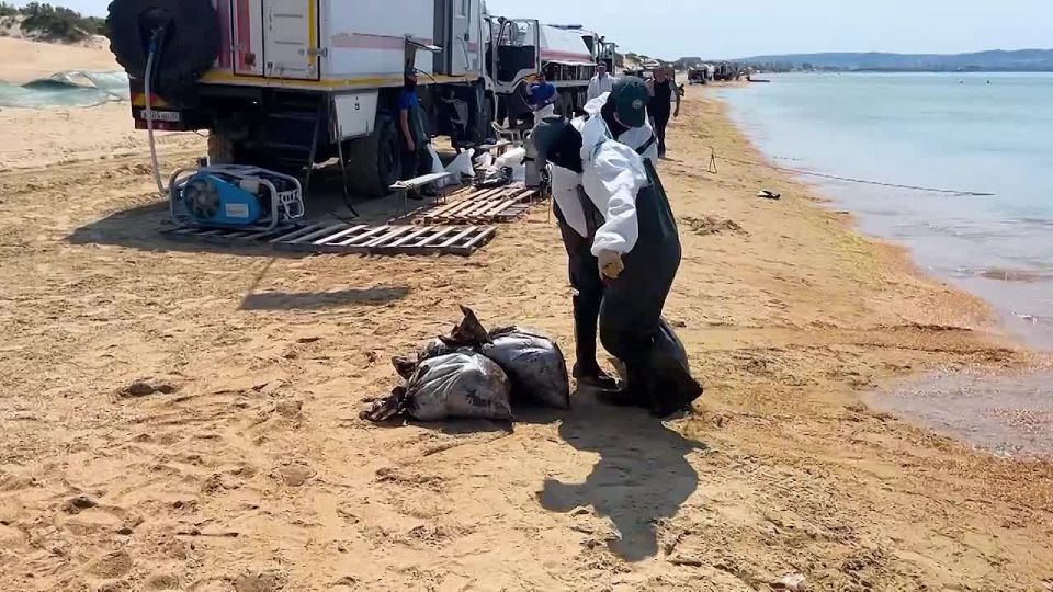 Водолазы подняли 128 мешков мазута со дна моря в Анапе