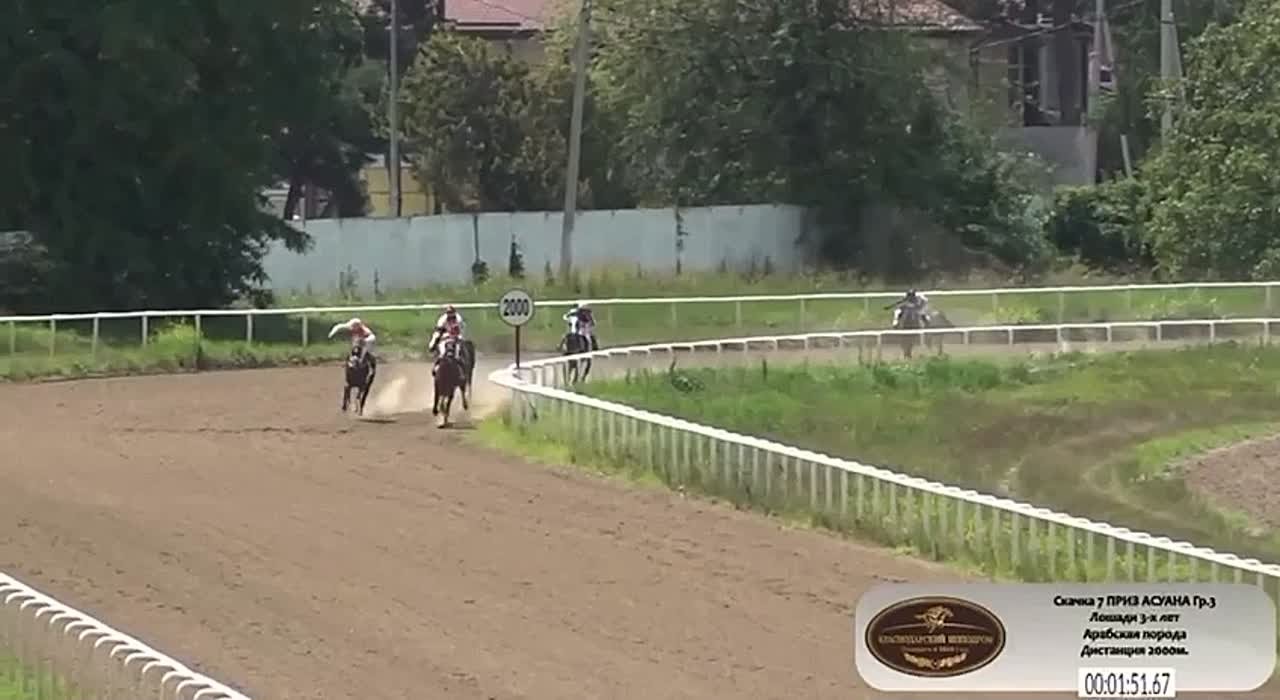 Лошади абхазских коневладельцев заняли призовые места на скачках в Краснодаре, сообщает Госкомспорта