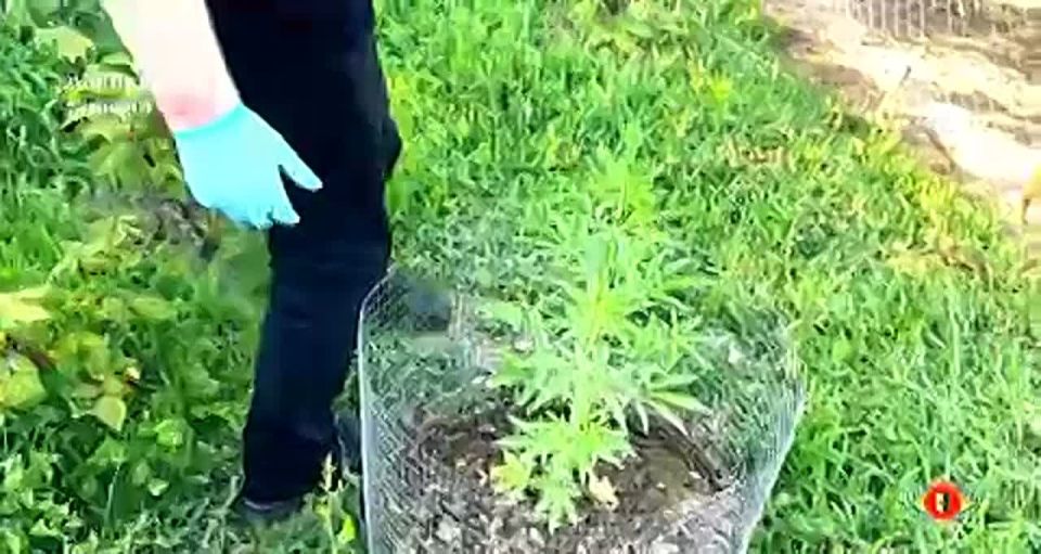 Задержан житель села Яштуха за незаконное хранение оружия