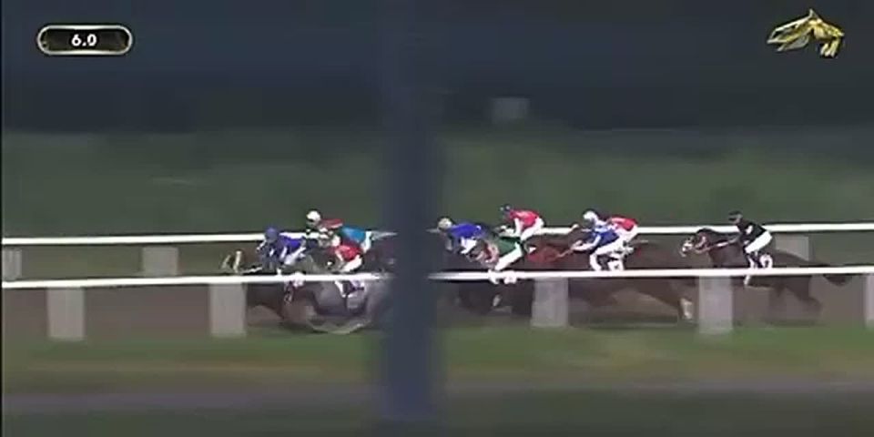 Лошади абхазских коневладельцев заняли призовые места на скачках в Грозном