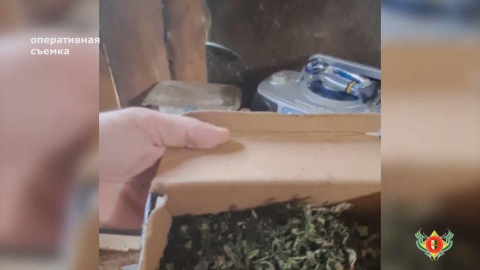 У жителя с. Таглан изъято наркотическое средство и наркосодержащие растения