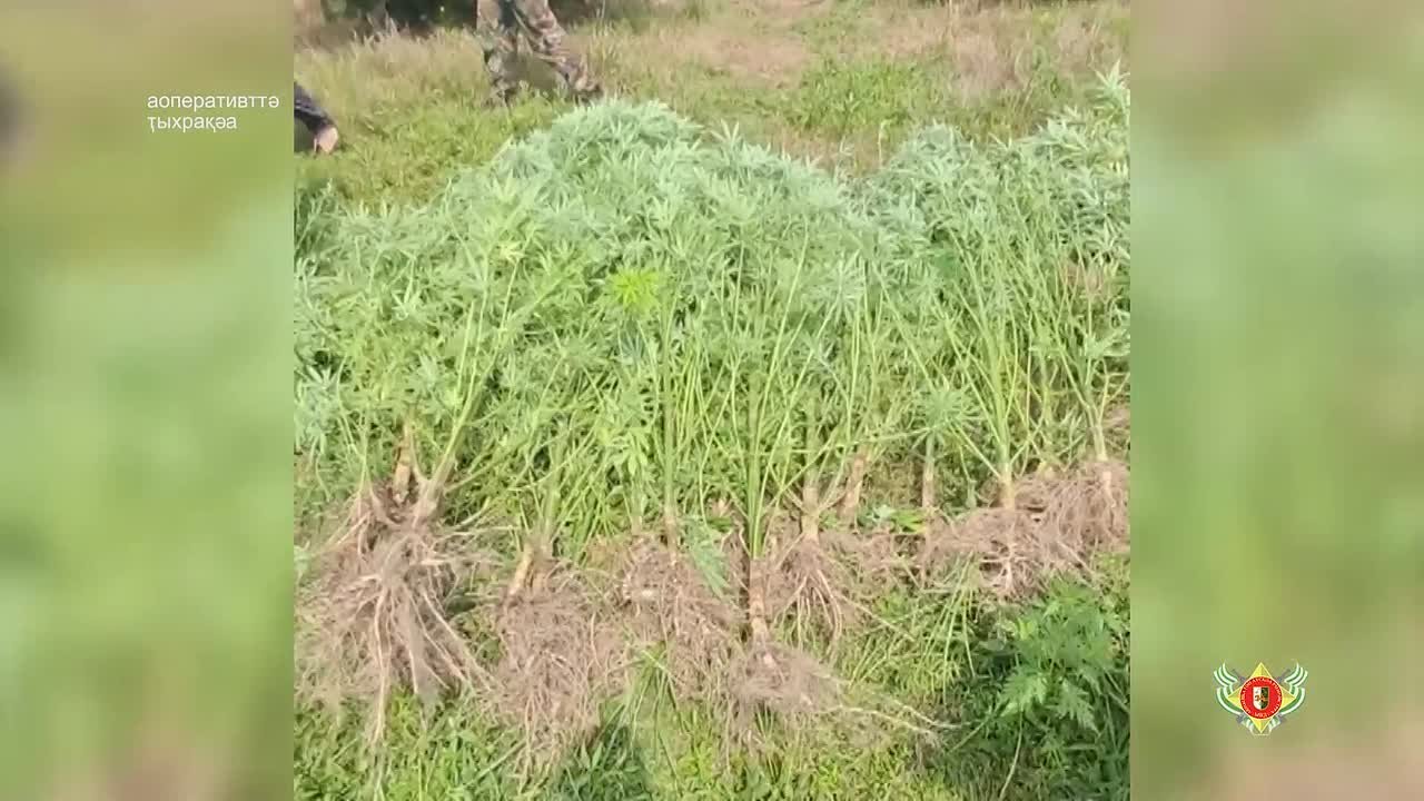 агьлан аыан инхо атылауаы арышьыгат маашьари уи злыуа аиаахкеи имхуп