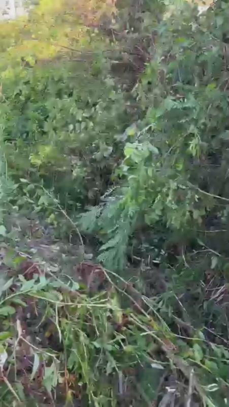 АЖД провела очистку кюветов и водоотводных каналов в Гудаутском районе