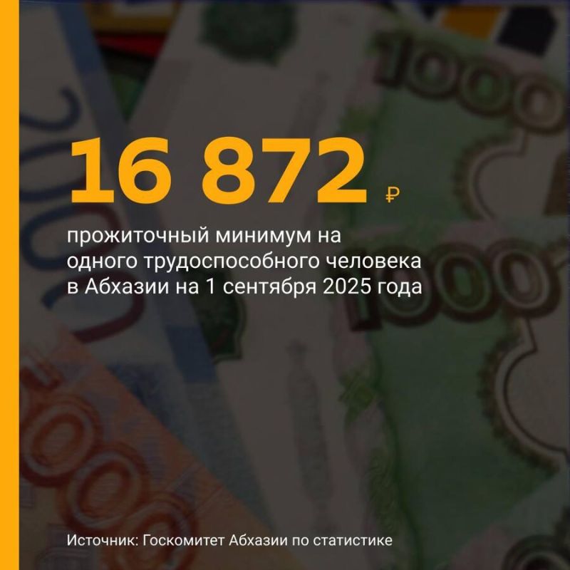 Стоимость прожиточного минимума на одного трудоспособного жителя Абхазии, по данным на 1 сентября, составила 16 872 рубля