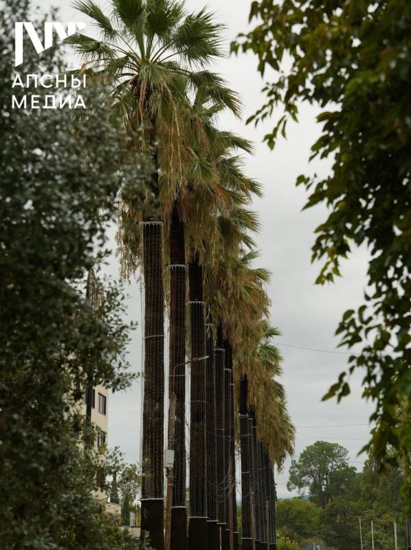 В среду, 17 сентября, на Черноморском побережье Абхазии ожидается облачная с прояснениями погода, ночью и в конце дня местами возможен дождь разной интенсивности, гроза