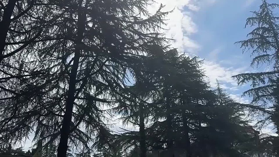 В Пицунде построят новый спортивный комплекс