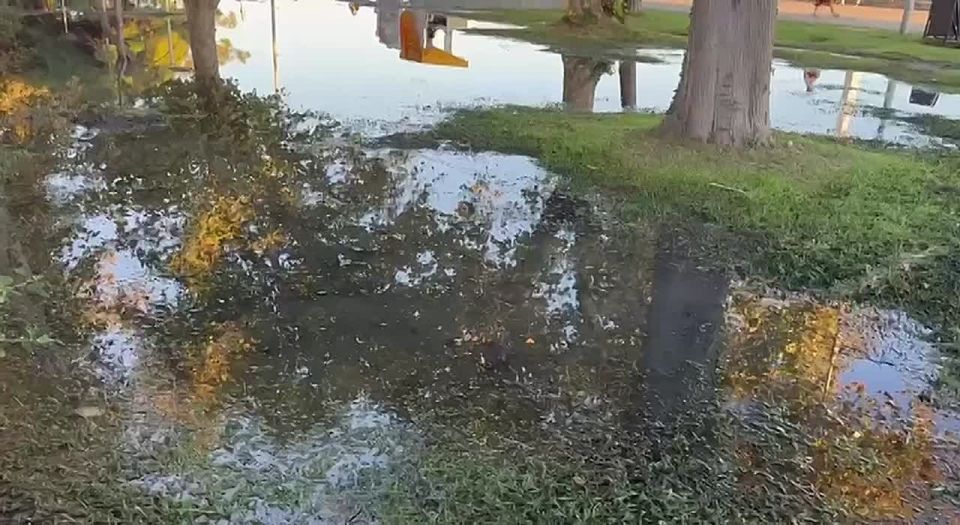 Администрация Сухума призывает воздержаться от купания в море