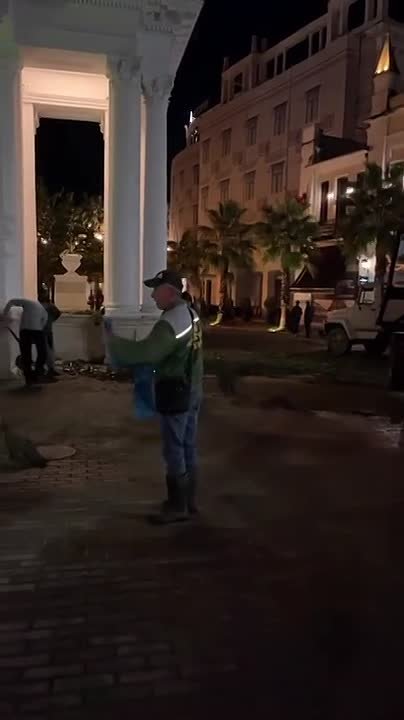 Из-за стихии в Сухуме на набережной у колоннады упал один из кипарисов