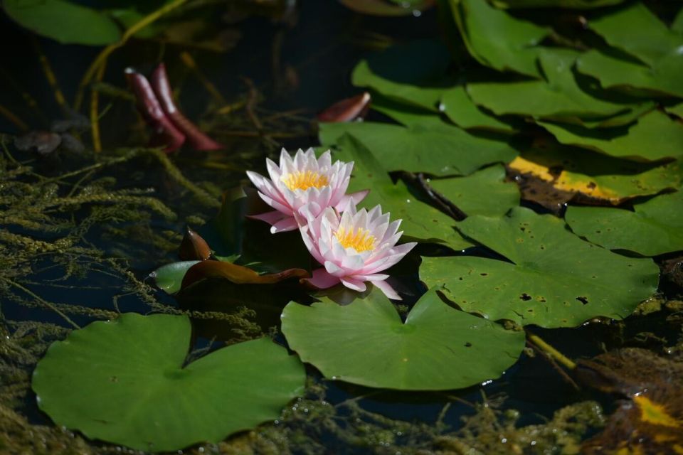 Прогноз погоды в Абхазии на вторник 23 сентября