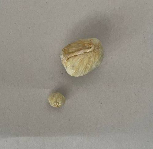 6 октября сотрудники ГТК совместно с сотрудниками управления по контролю за оборотом наркотиков МВД на таможенном посту «Псоу» задержали гражданина Абхазии Саманджия Руслана Нурбеевича, 1995 года рождения, проживающего в..