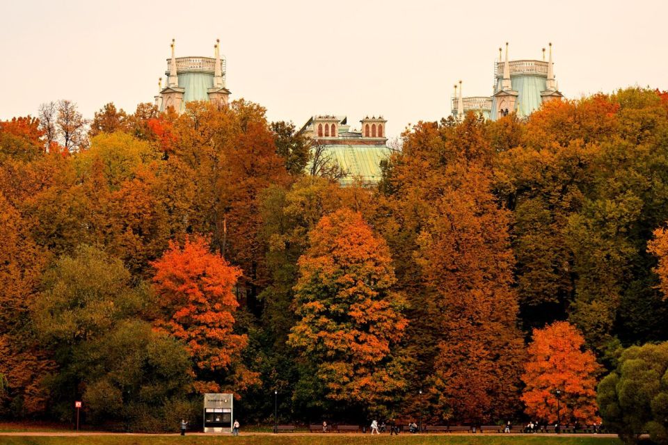 Осень раскрасила мир в яркие цвета