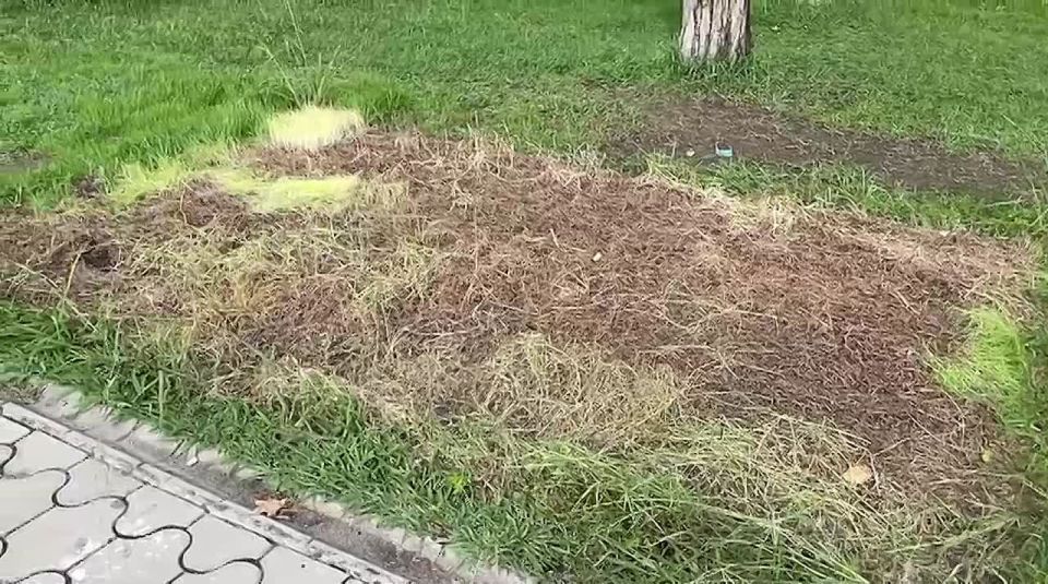 Более 50 торговых павильонов демонтировали на набережной Диоскуров в Сухуме