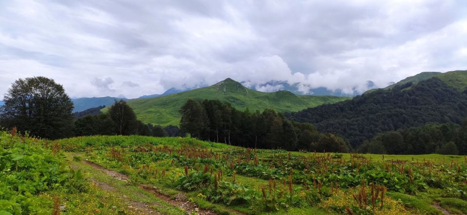 Прогноз погоды в Абхазии на выходные 18 и 19 октября
