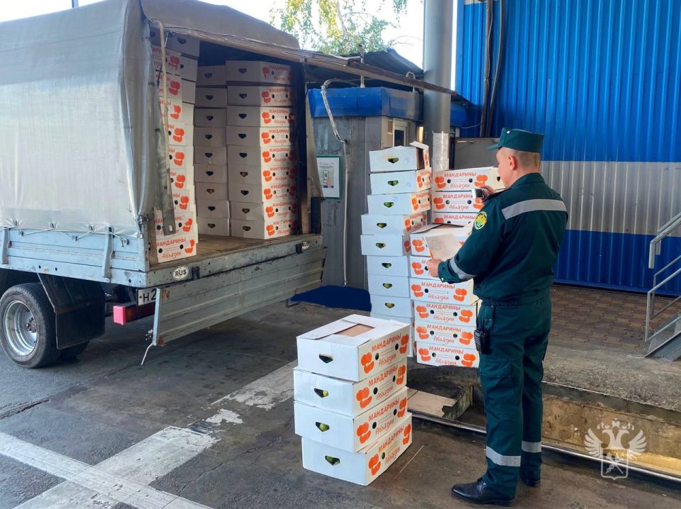 На границе с Абхазией стартовал «мандариновый сезон»