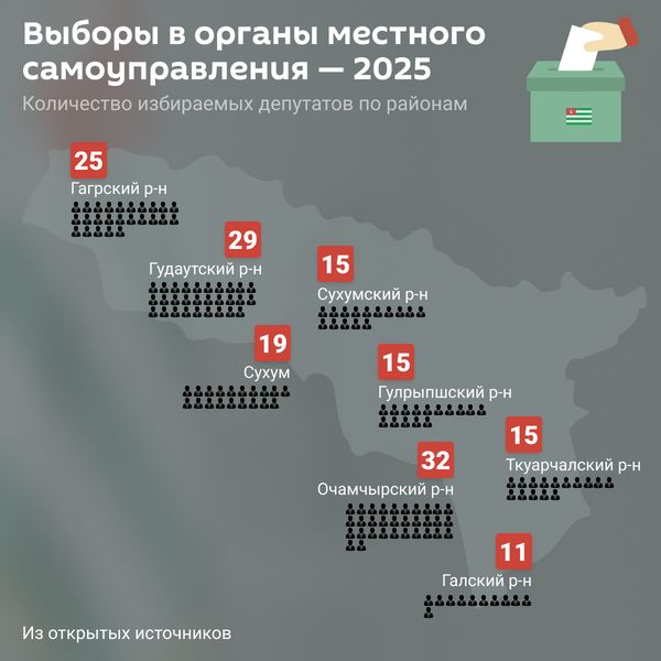 Выборы в органы местного самоуправления в Абхазии — 2025
