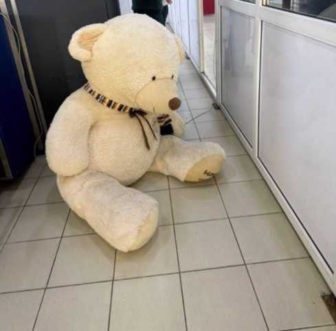 Сочинские таможенники обнаружили контрабандные сигареты в большом плюшевом медведе, сообщили в ФТС России