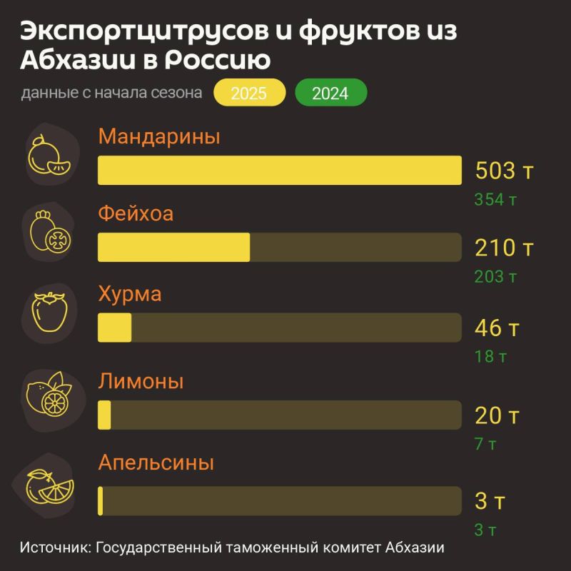 503 тонны мандаринов вывезено из Абхазии с начала цитрусового сезона