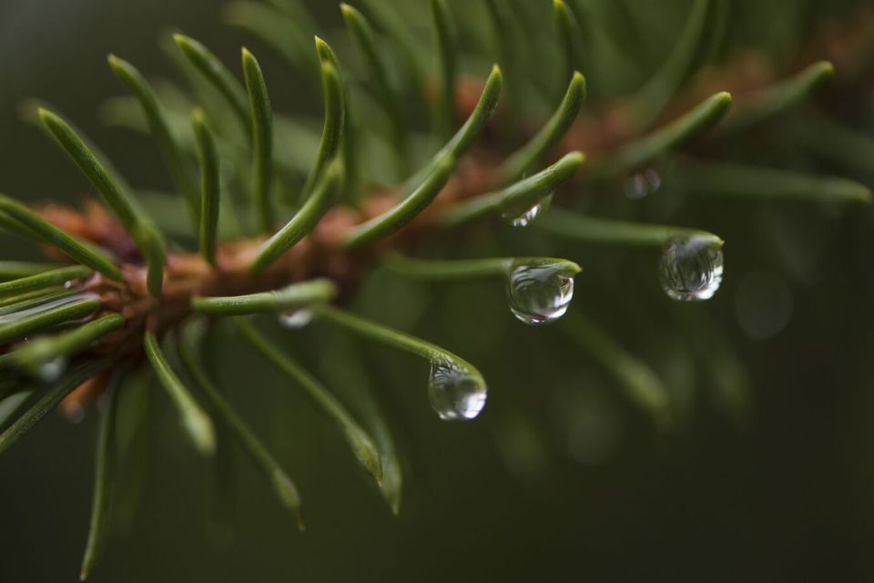 Прогноз погоды в Абхазии на вторник 28 октября