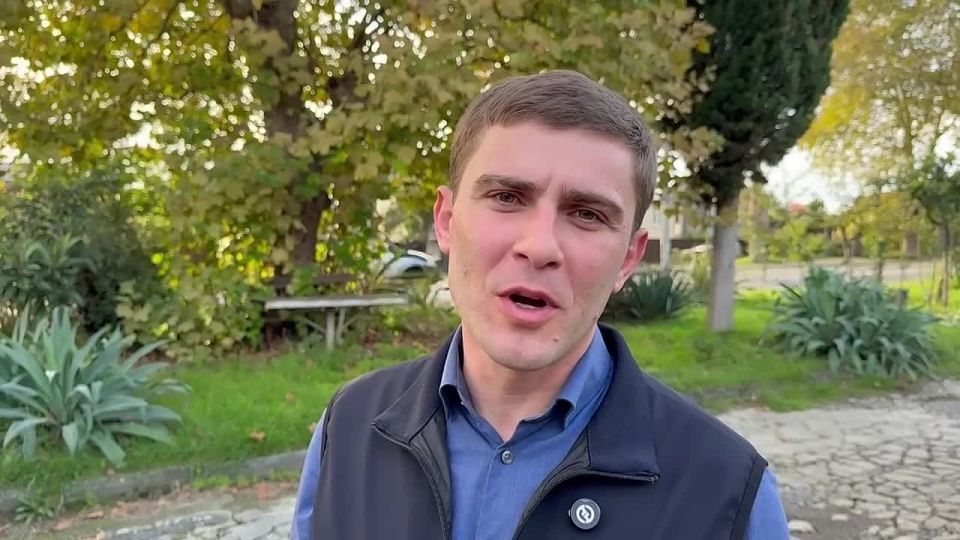 Выездная комиссия столичной администрации проводит осмотр состояния деревьев в Сухуме