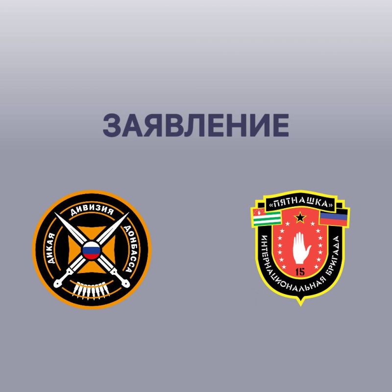 Официальное заявление Интернациональной бригады «Пятнашка» / Дикая дивизия Донбасса