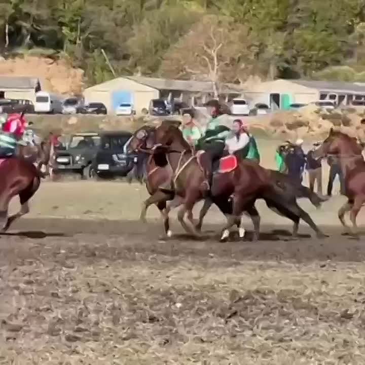 Заключительный день Чемпионата Абхазии по конному спорту начался на Бзыбском ипподроме