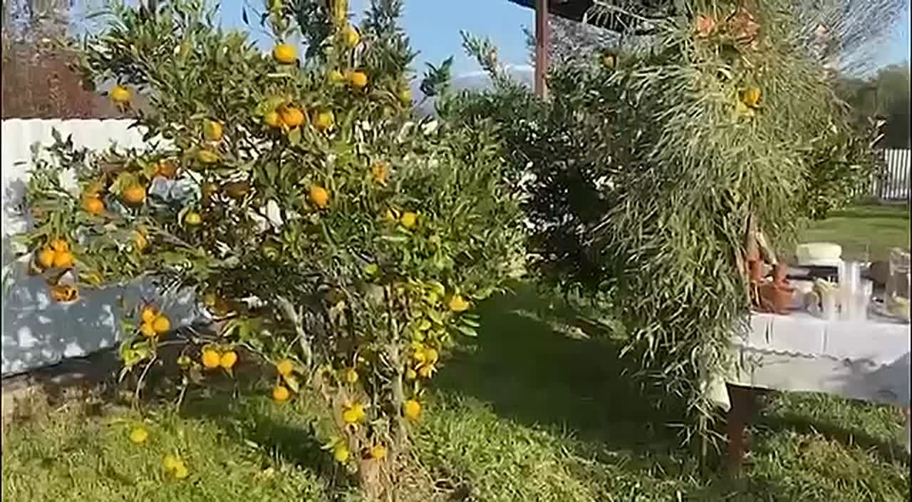 Фестиваль "Маршруты здоровья" завершен