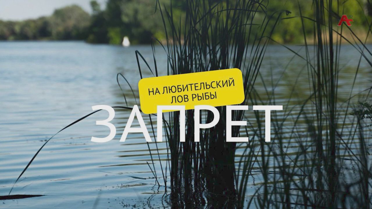 С 15 ноября устанавливается запрет на любительский лов рыбы в реках Рицинского реликтового национального парка