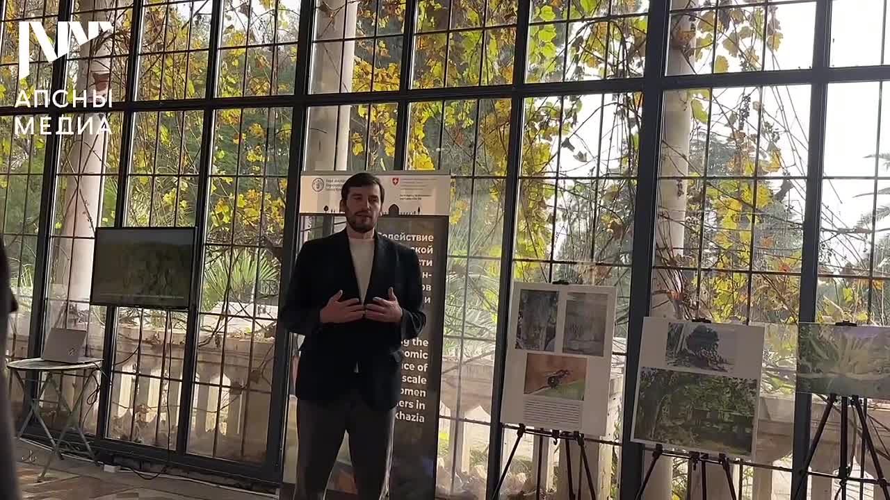 День каштана в четвертый раз отмечают в Сухуме