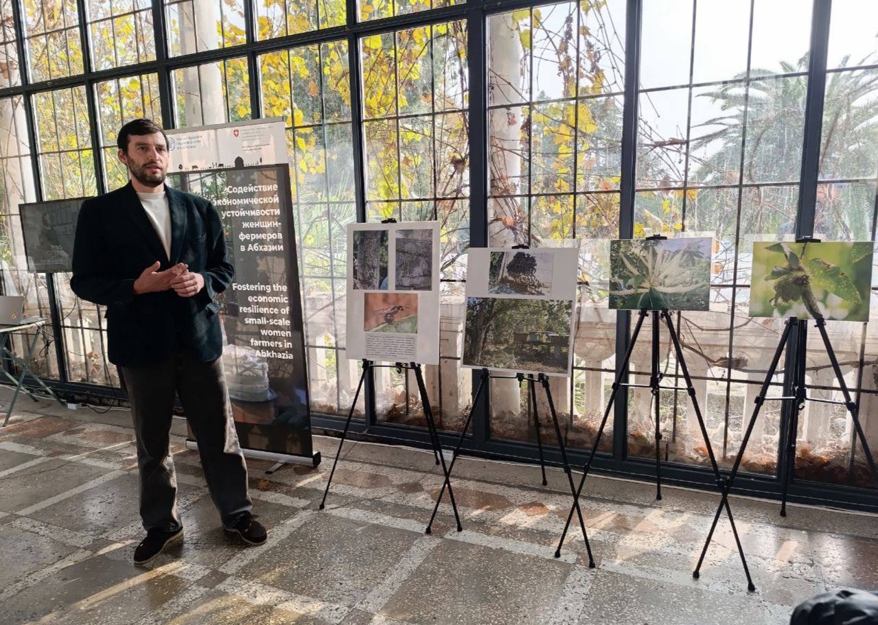 День каштана в четвертый раз отметили в Сухуме