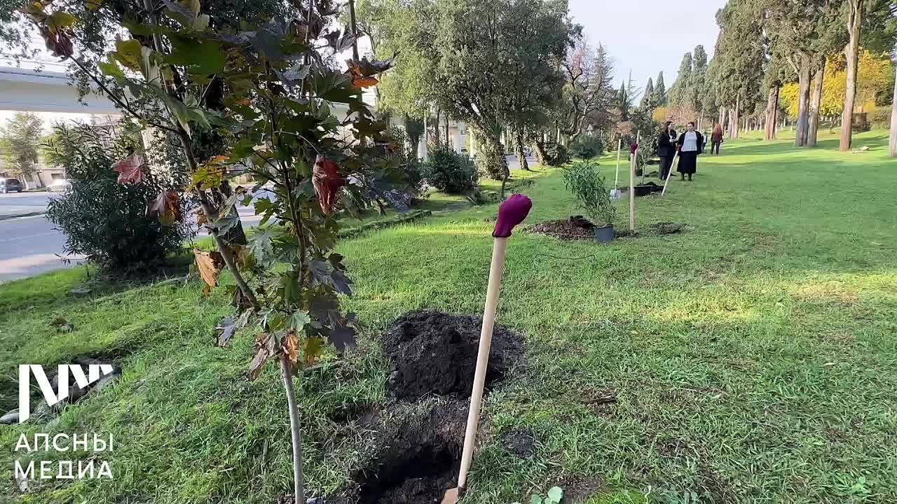 В Сухуме состоялась общегородская акция «Аллея добра», посвященная к Международному дню добра