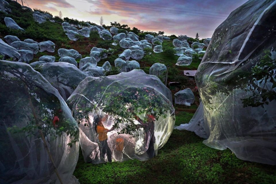 Названы победители XI международного конкурса фотожурналистики имени Стенина