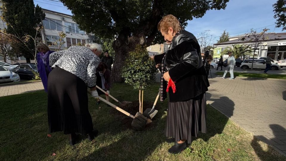 Аллею памяти пропавших без вести высадили в Парке Славы