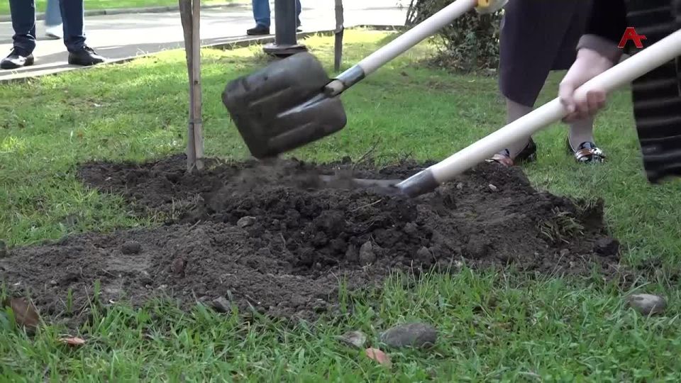 Асны анаца рхеидкыла ашьгарала Аа Ахь- Аша апарк, афырхаца раллеиаы еиаан ашлаа