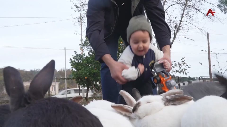 Жьакыр Макыр аоурых. Учаа раацараы ажьаа ишрызауа