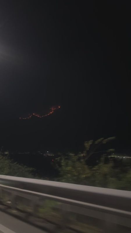 Подлесок разгорелся на возвышенности в селе Гумиста, сообщил Sputnik глава Сухумского района Алхас Читанава