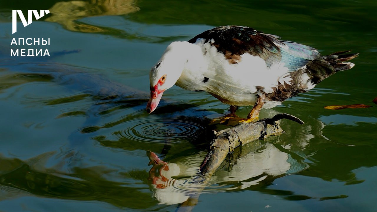 В субботу, 29 ноября, ожидается переменная облачность, без осадков